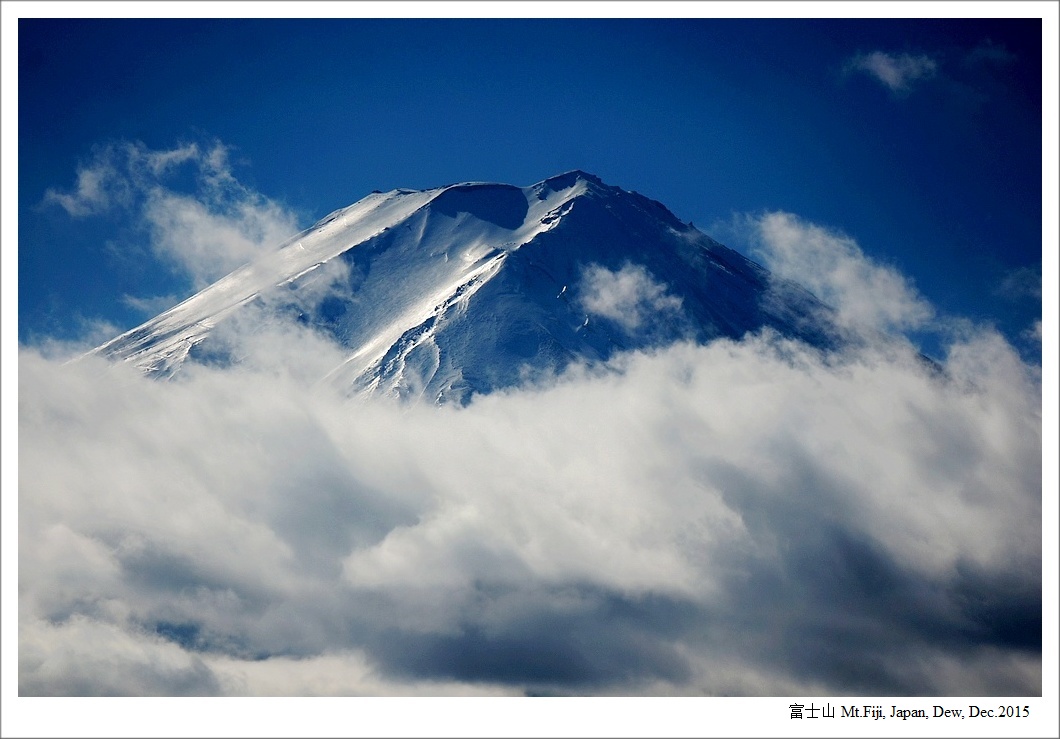 虚度的时光都是美好的时光